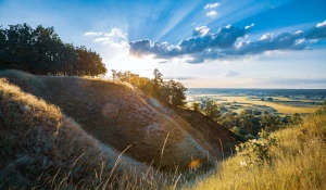 Dom do wynajęcia Kutno – Przewodnik po najlepszych ofertach