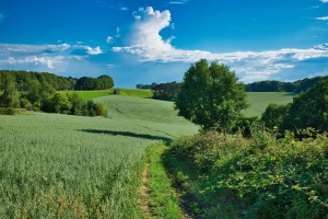 Najlepsze marki klimatyzatorów z funkcją grzania dostępne w Pruszkowie w 2026