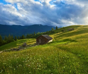 Dom Wypoczynkowy Solina - Idealne Miejsce na Relaks